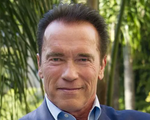 Arnold Schwarzenegger Plastic Surgery Before And After 