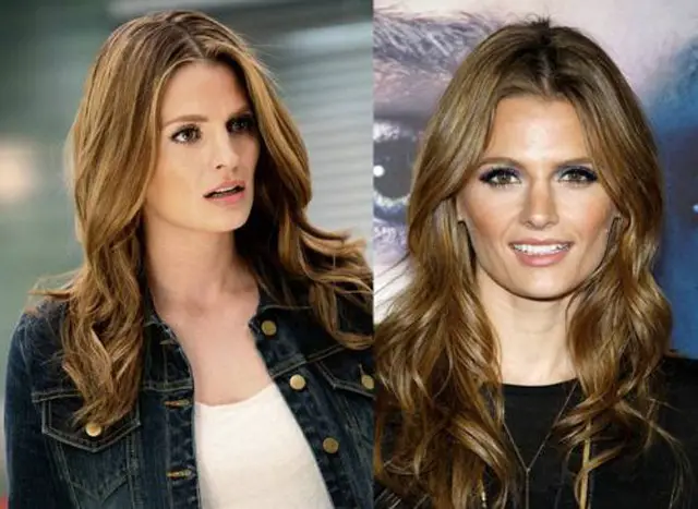 Stana Katic Plastic Surgery Before and After