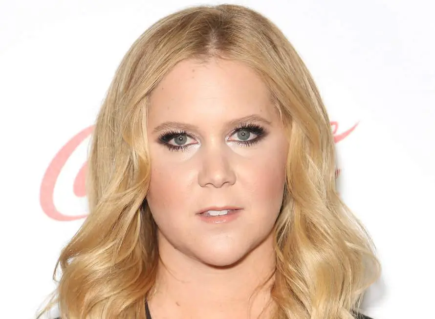 amy schumer gemini celebrities