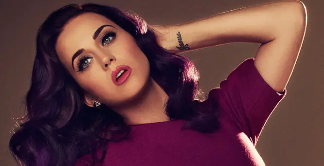 5 Things You Didn't Know About Katy Perry | Celebie