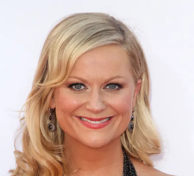 Amy Poehler Plastic Surgery Before and After Botox Injections | Celebie